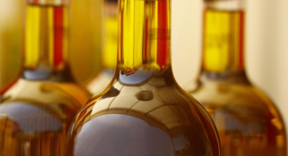 Groundnut oil recovers on fresh demand