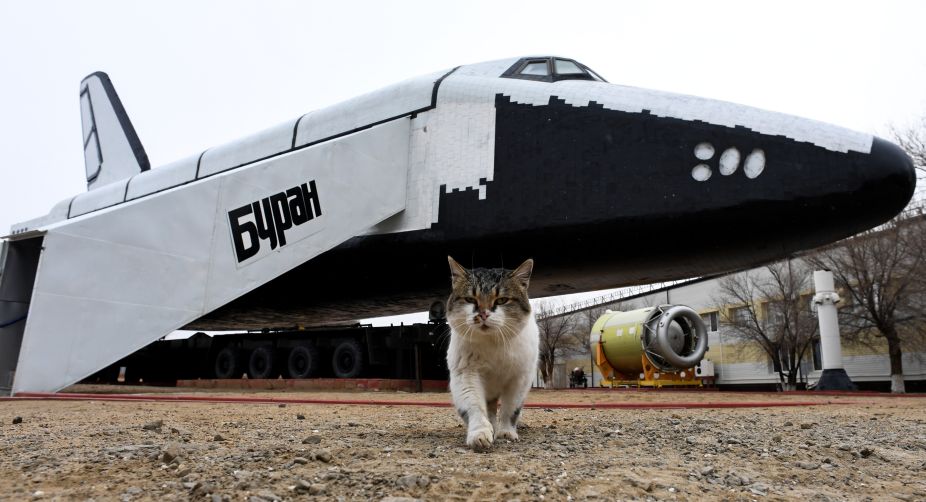 A cat walks close to one of the Soviet era space shuttles Buran installed in a museum at Russian-leased Baikonur cosmodrome in Kazakhstan (Photo: Kirill Kudryavtsev/AFP) img
