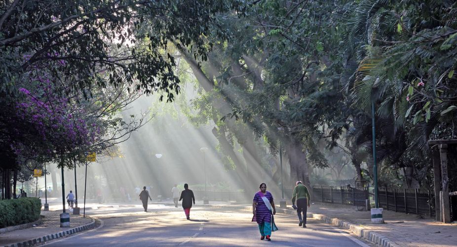 Sunny, cold morning in Delhi