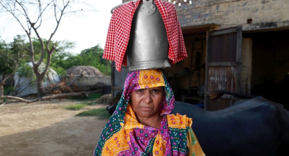 Demonetisation: Milk producers in Modi’s Gujarat hit hard