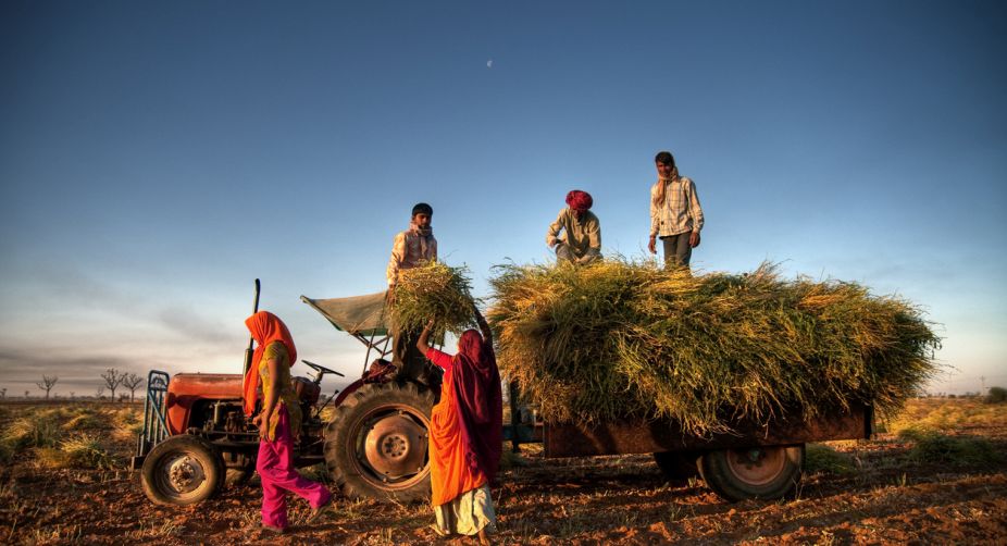 Govt sanctions Rs.21k crore to help farmers