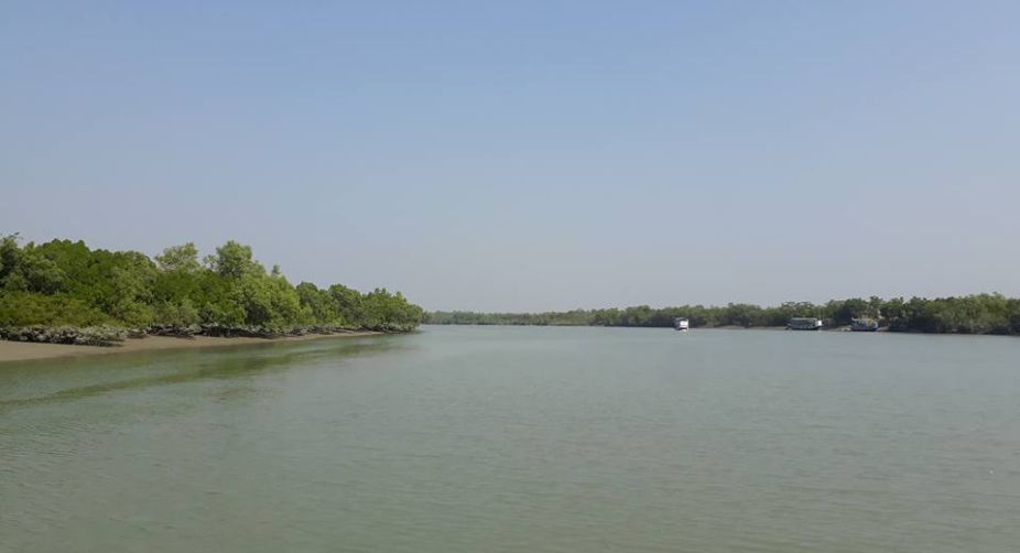 French consulate moots role in Sundarbans conservation