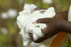 Pakistan stops import of cotton from India amid tension