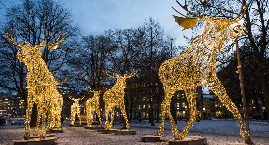 Thousands of lights decorate moose statues in Stockholm. Stockholm has lit over 700,000 Christmas lights around the city for the Christmas season (Photo: Jonathan Nackstrand/AFP) img