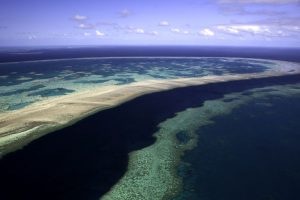 Largest coral die-off ever in Great Barrier Reef