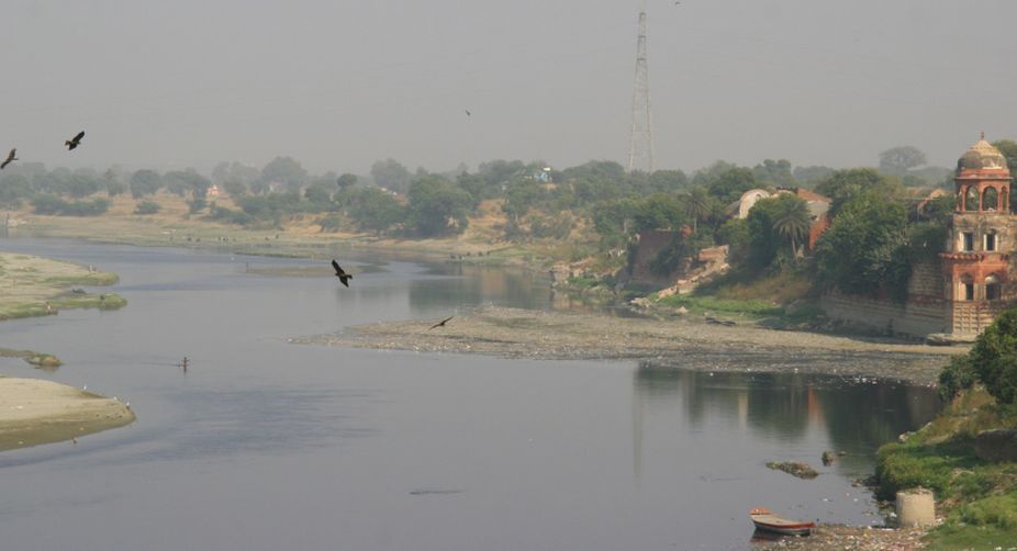 Detailed survey of water bodies in Delhi for their revival