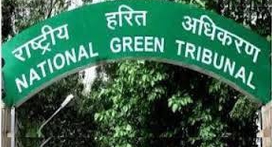 NGT fines government colleges, malls for defying green laws