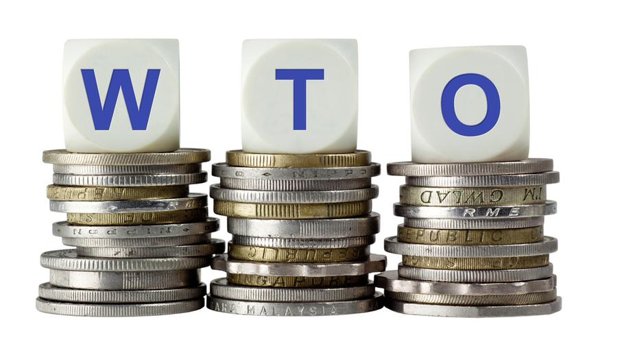 India ‘disappointed’ over developments on food security issue at WTO