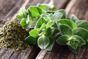 Sprinkle the goodness of oregano in your food