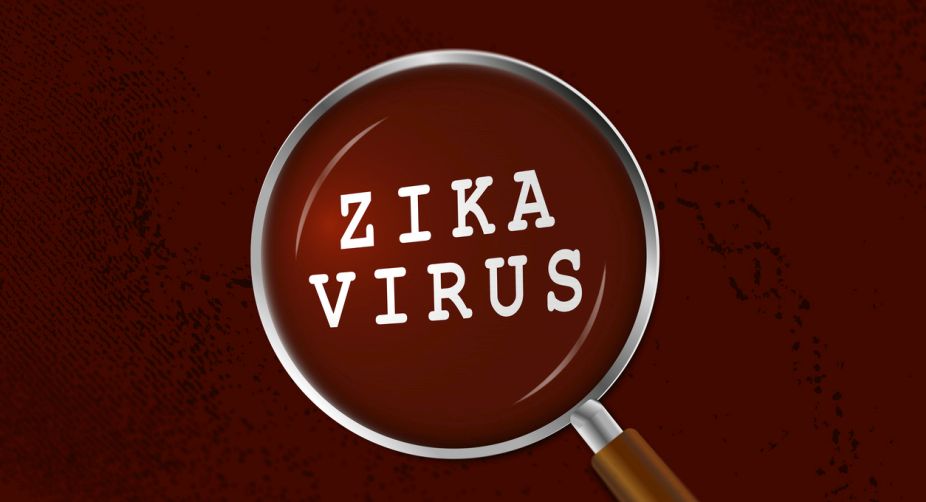 Decoded: How Zika virus infects developing brain