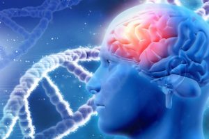 Over 100 genes linked to memory identified