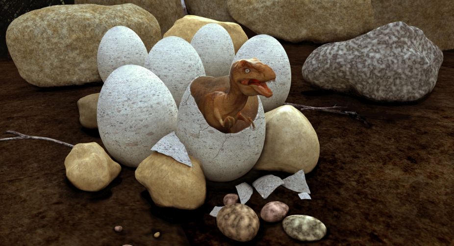 Dinosaur eggs hatched like reptiles