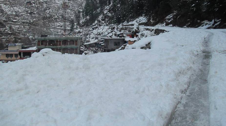 Shimla, Manali witness fresh snowfall; cold wave intensifies