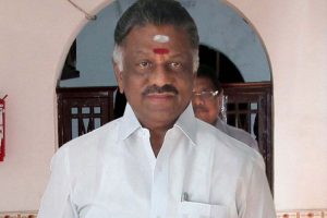 Include Pongal in central holiday list: Panneerselvam
