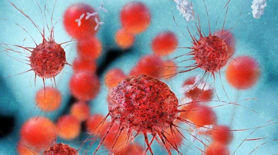 Drug that ‘melts’ cancer cells approved for human use