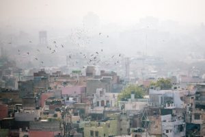 Delhi shivers as mercury drops to 2 degrees