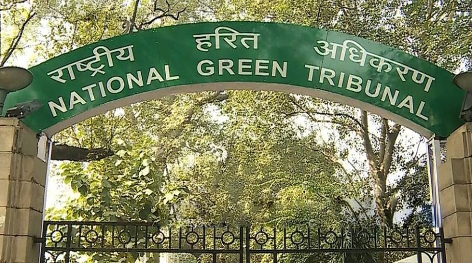 Posters on DU walls: NGT summons chief election officer