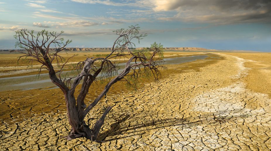 Sri Lanka warns of worst drought in 40 years