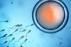 ‘Sperm radar’ test to improve fertility diagnosis