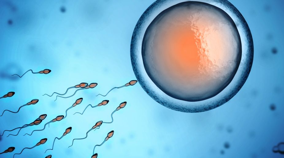 ‘Sperm radar’ test to improve fertility diagnosis