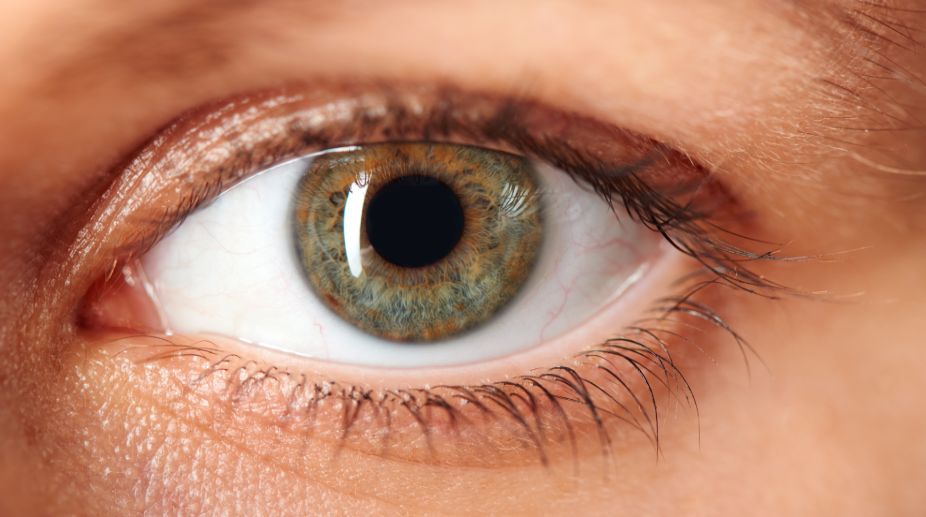 Yellow spots in eye could be new biomarker for dementia