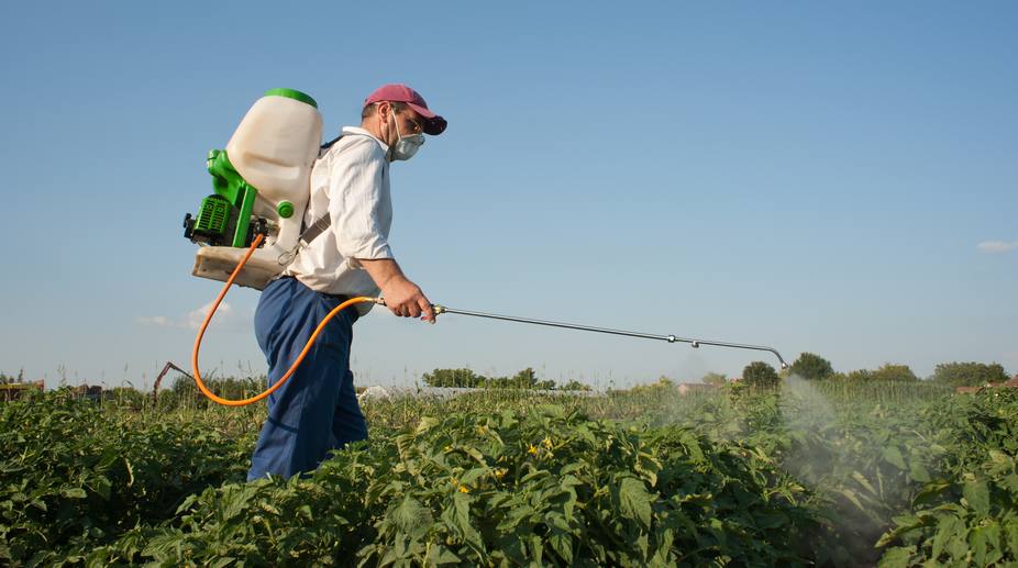 ‘Exposure to insecticides may up diabetes risk’