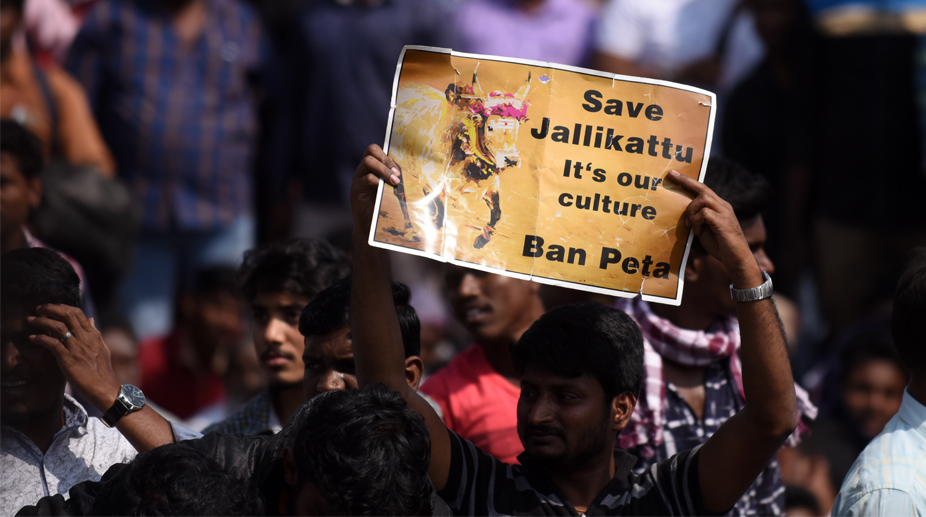 Jallikattu protesters removed from across Tamil Nadu