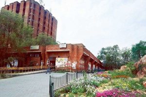 JNU proctor resigns over ‘differences with VC’
