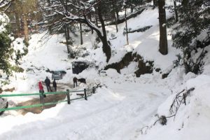 Snowfall snaps land, air links to Kashmir valley