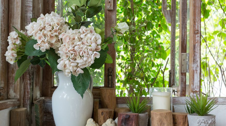 Why you should keep indoor plants