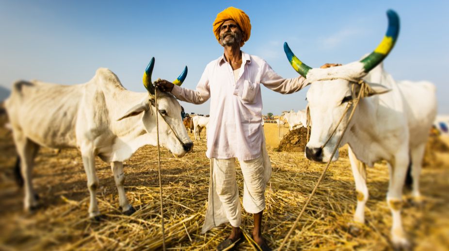Finally, Maharashtra farmers get promised aid
