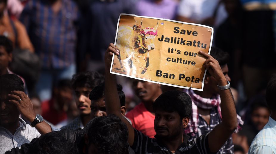 Jallikattu protests: TN CM vows to punish violent protesters