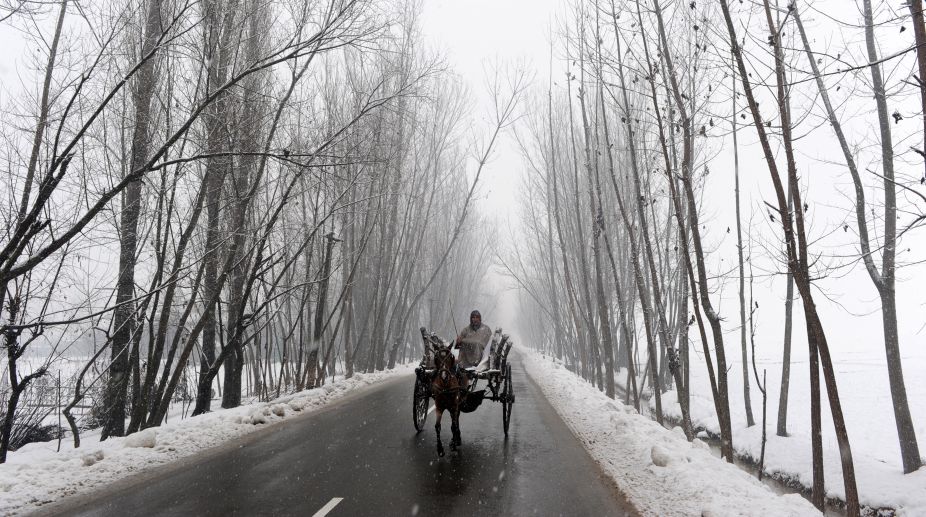 Srinagar, Jammu witness season’s coldest night