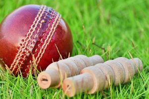 Italian city bans cricket in parks after 2-yr-old hit by ball