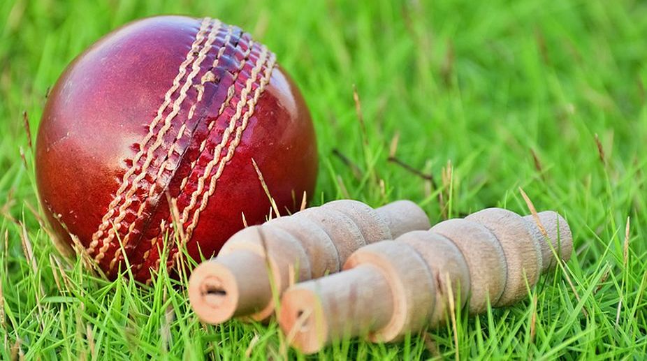 Italian city bans cricket in parks after 2-yr-old hit by ball