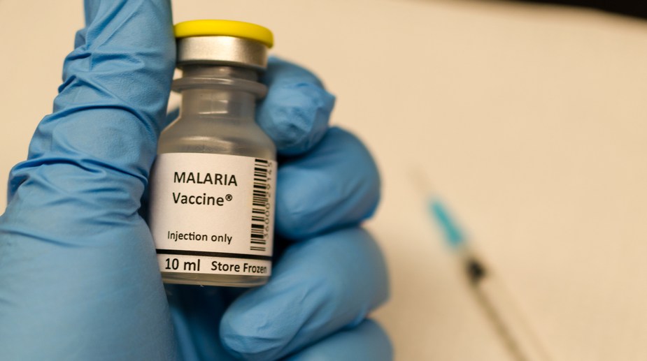 Drug-resistant malaria cured by dried leaf tablets