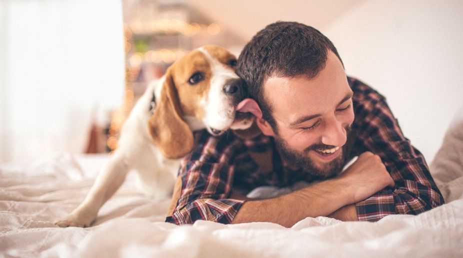 ‘Love hormone’ makes dogs perceive angry humans less threatening