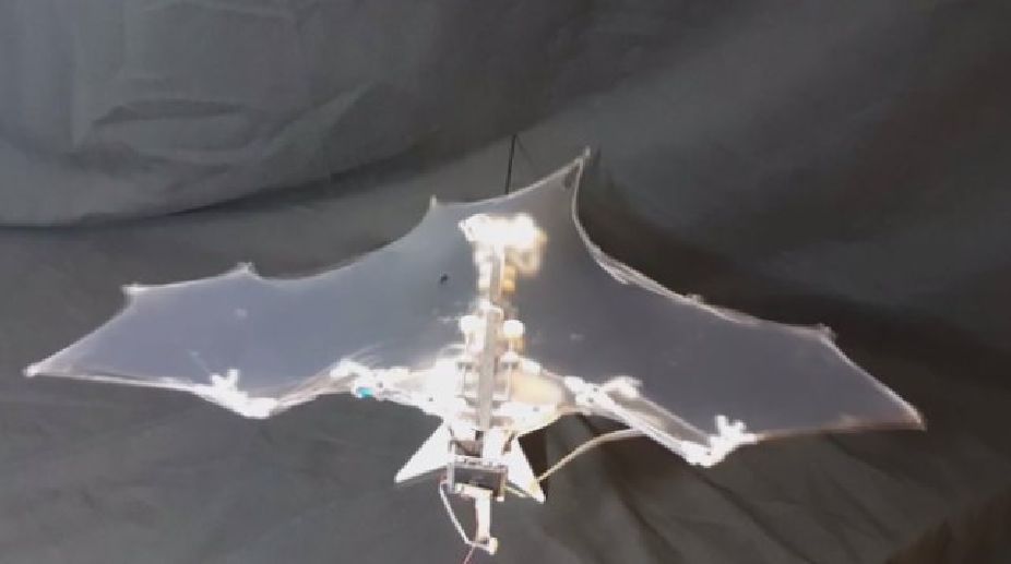 Robot mimics key flight mechanism of bats