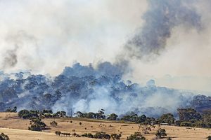 IAF to rescue students caught in forest fire in Tamil Nadu