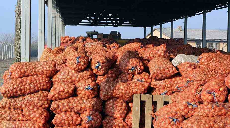 Floor price for onion exports reduced by USD 150 a tonne