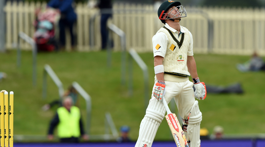 David Warner, Steve Smith