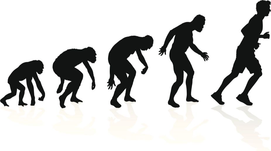 Darwin’s theory of ‘living fossils’ gets support