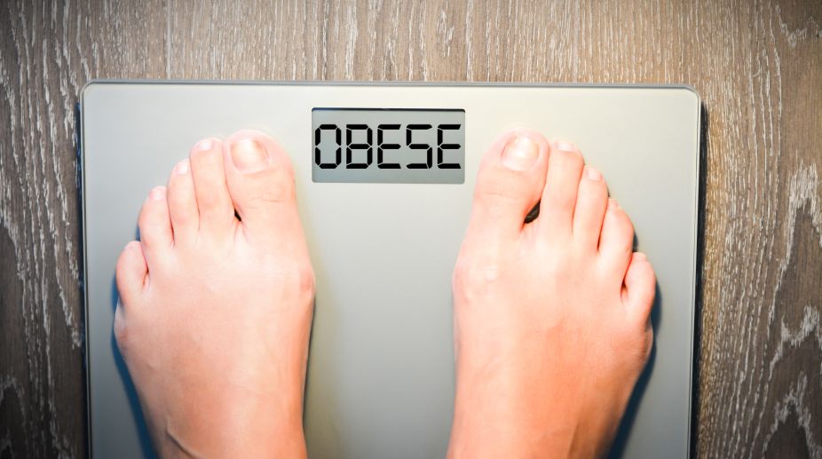 Study: Positively charged nanomaterials treat obesity