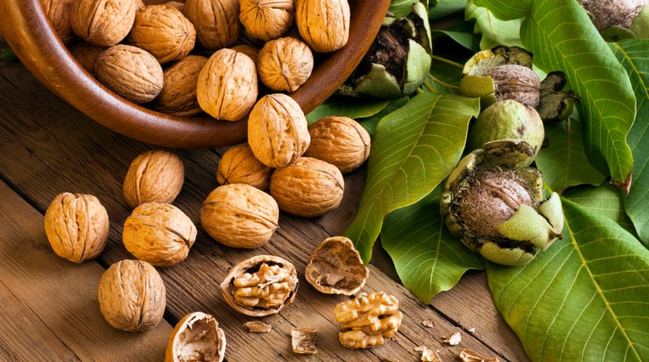 Walnut – The healthiest royal food