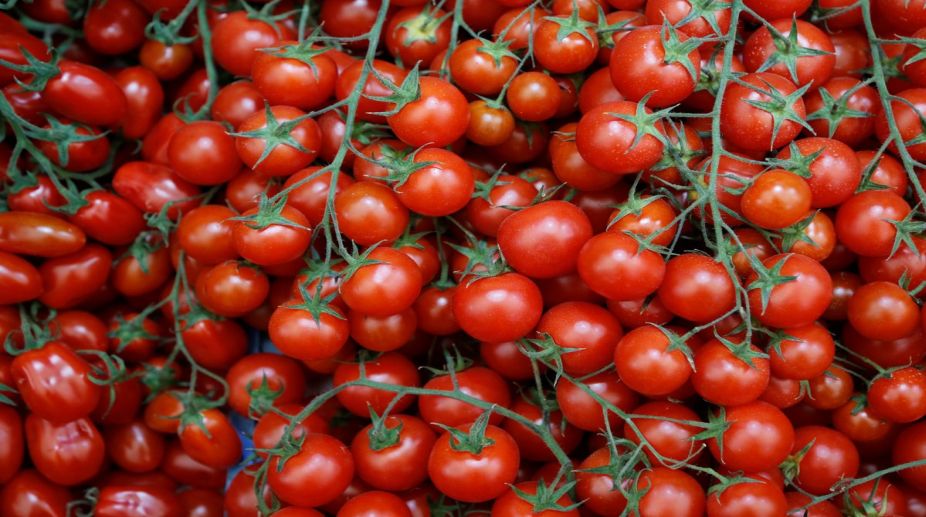 ‘Waste tomatoes can be used to make car tires’