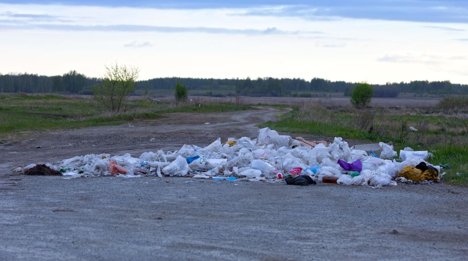Polythene ban: HC summons all DMs of Uttarakhand