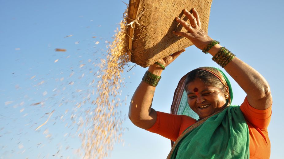 Centre directs states to spend 30% agri-fund on women farmers