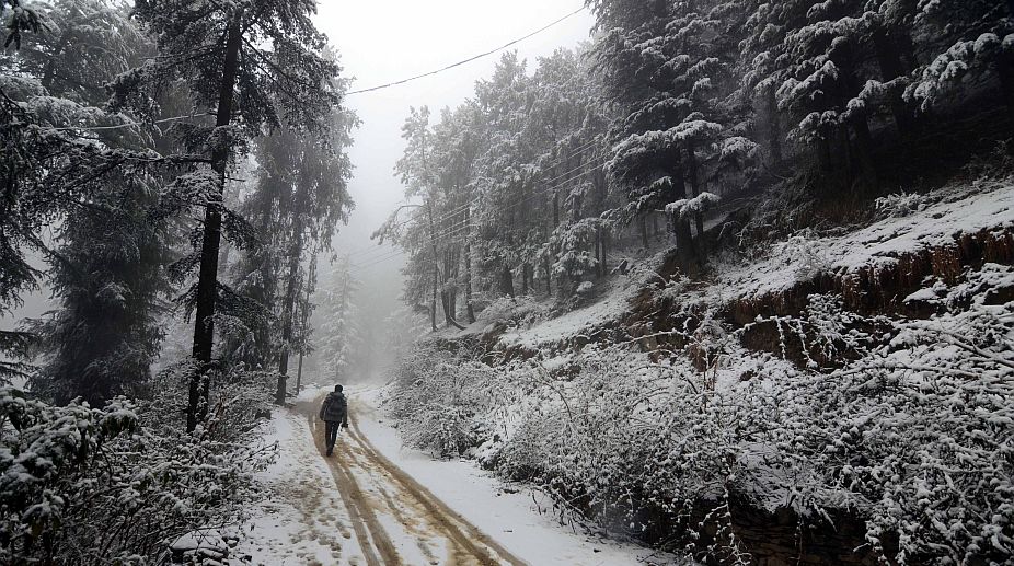 Fresh snowfall, light rains in Kashmir