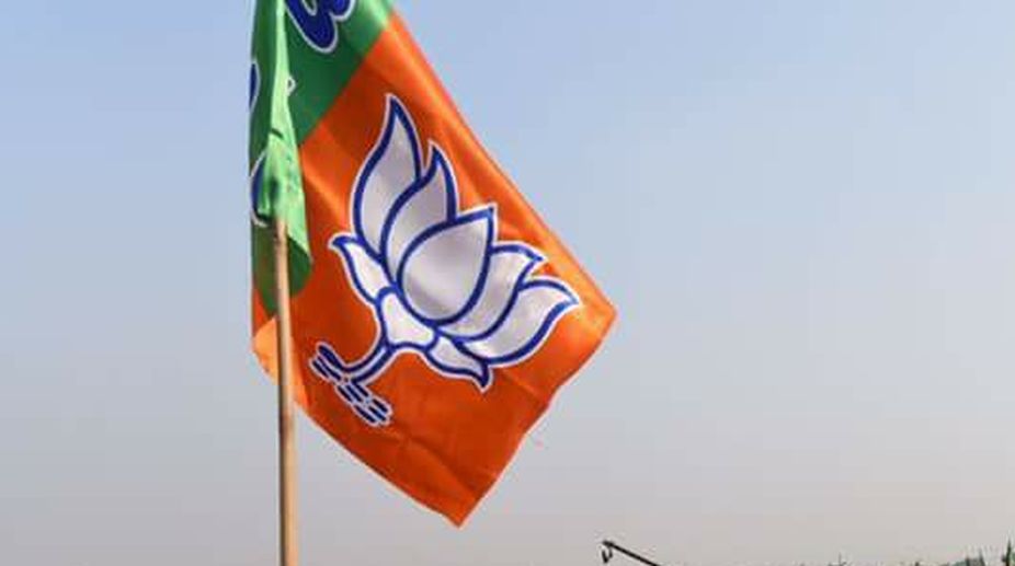 BJP will win UP polls with absolute majority: Rajnath Singh