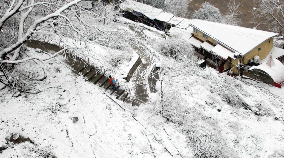 More snow, rain in store for Himachal